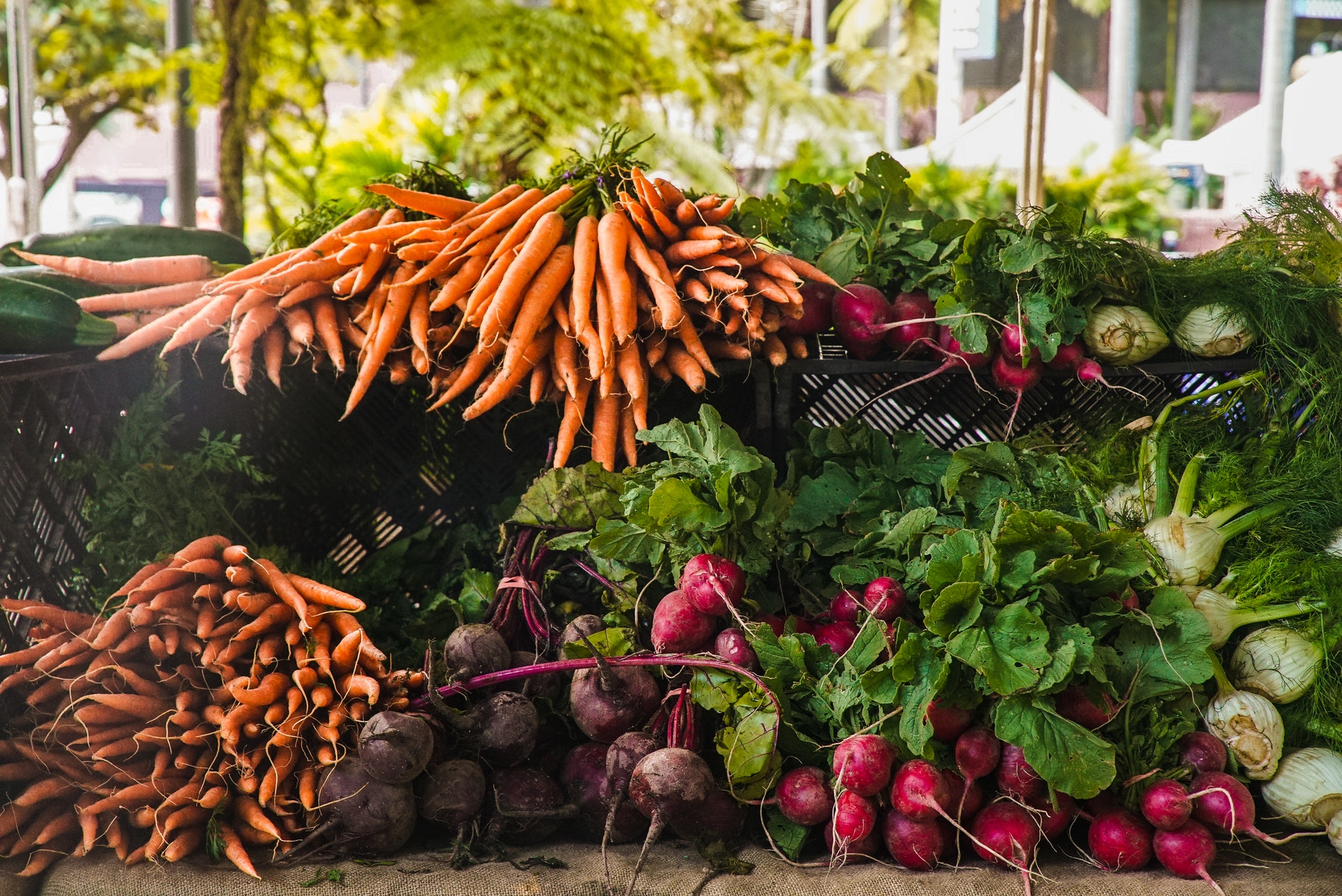 Tips on Starting a Farmers’ Market